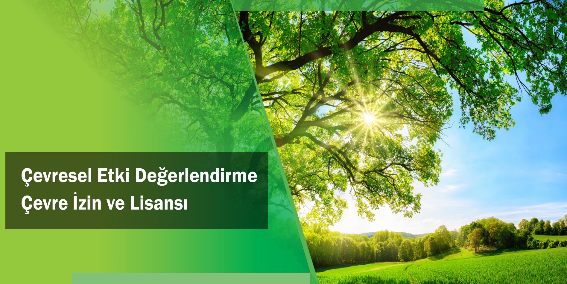 Çevresel Etki Değerlendirme